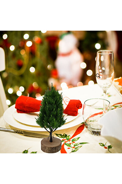 Çiçekmisin Kütük Saksıda Mini Boy Çam Agacı