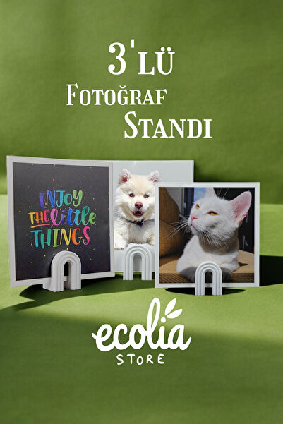 Main Collectibles Minimalist Fotoğraf Standı - 3 Adet Set