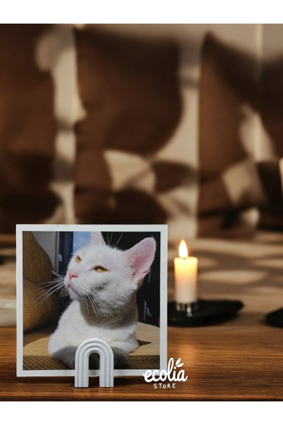 Main Collectibles 5 Photo Stands