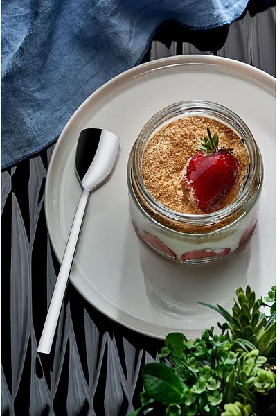 on-on Olympos Ice Cream Spoon Set of 2 18/10