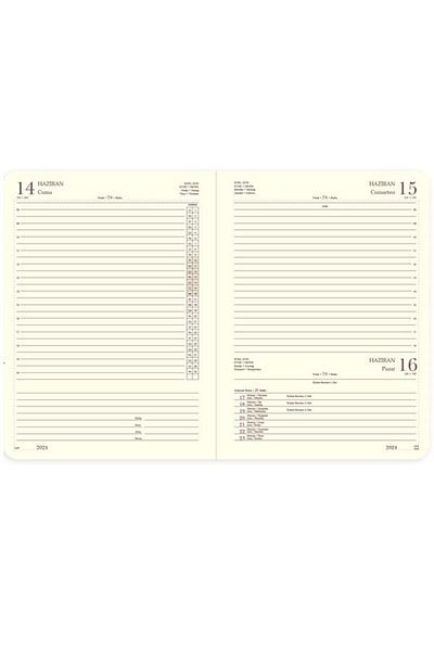Gıpta 2025 Model Red Daily Agenda with Spiral - 20X28 Cm, 419-Sek