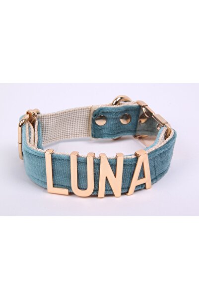 Pawsim İsimli Köpek Tasması, İsme Özel Köpek Tasması, Kişiselleştirilebilir Köpek Tasması, Boyun Tasması