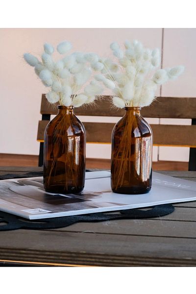 Juniberry 2 Pieces Brown Amber Glass Bottle Bottle Decorative Small Vase 2X100Ml Without Cover (No Flower) (H:9.4 W:5)