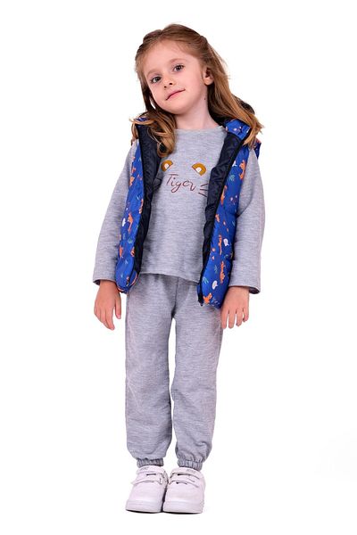 TRENDİMİZBİR Blue Baby Girl Tiger Hooded Vest Set