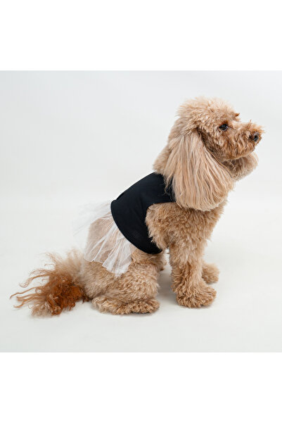 Buddy Store Kedi ve Köpekler İçin Uygun Kolay Giydirilebilir Kalıp - Siyah Fi...