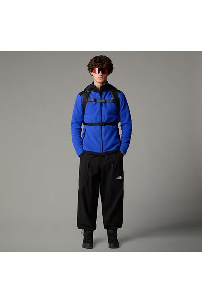 THE NORTH FACE M Alpine Polartec 200 Fz Jacket Men's Fleece Jacket