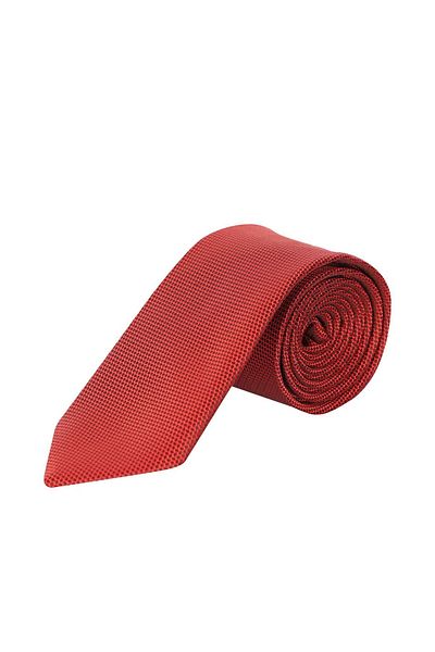 echol Ech.Tie