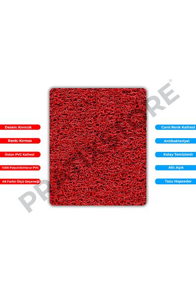 Pratixstore Curly Mat (Size and Color Options of your choice) Non-Slip Base Carpet Runner Door Front Mat