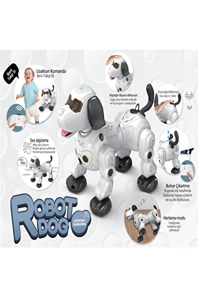 scntoys Uzaktan Kumandalı Işıklı ve Sesli Akıllı Robot Köpek Buhar Çıkaran Se...