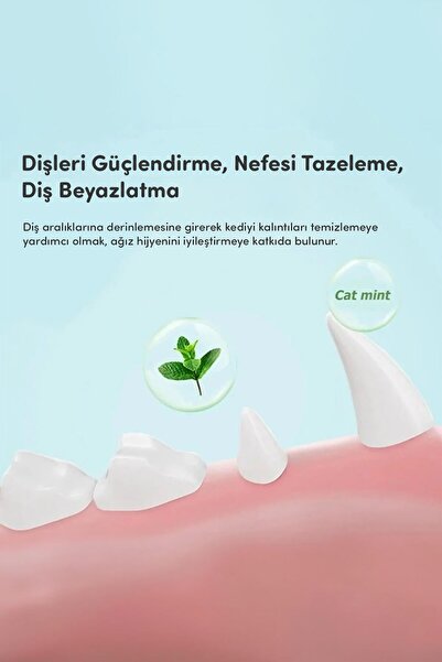 Genel Markalar Catnipli Yenilebilir Kedi Nanesi Otu Oyun Topu Oyuncağı Top Oyuncak Kedi Yalama Topu Avokado