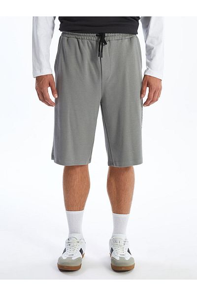 LC Waikiki Standard Fit Men's Shorts