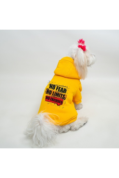 Buddy Store سويت شيرت مطبوع عليه عبارة "No Fear No Limits No Excuses" باللون ...