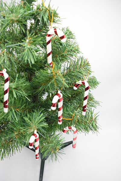 Waldern Ornament de Crăciun din trestie de zahăr 6 bucăți 11cm