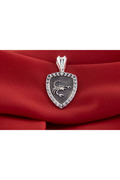 GIBYJEWEL Akrep Burcu 925 Ayar Gümüş Madalyon Kolye Ucu - Sevgililer Günü Hediye