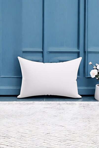 lissehome Filled Rectangular Throw Pillow Inner Pillow 50X30Cm