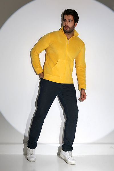 DİVİSTA Men's Standard Fit Stand Collar Full Zip Yellow Fleece