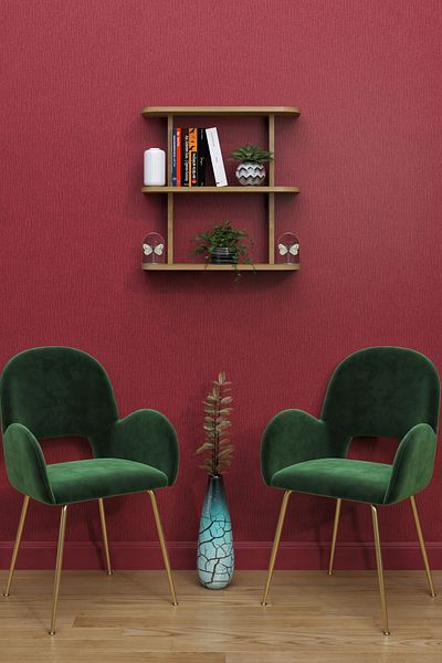 moka park avm 2-Shelf Wall Mounted Rectangular Multi-Purpose Wall Shelf