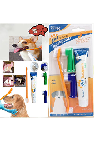 Genel Markalar 4'lü Kedi Köpek Diş Fırçası ve Diş Macunu Seti Yenilebilir Diş...