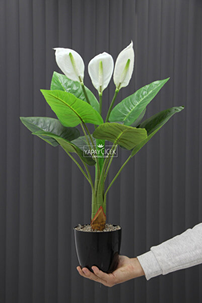 Yapay Çiçek Deposu Yapay Ağaç Çiçekli Spatifilyum Bitkisi 70 cm(9 Yaprakli-3 ...