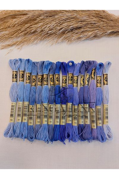 Dmc Muline Vibrant Blue 16 Color Thread Set