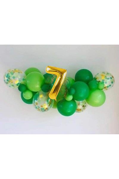 CUGY Green Age Option Newborn Birthday Party Mass
