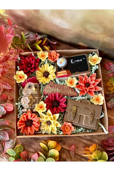 Şirin Sabun My Dear Teacher Owl Wooden Bag Set Handmade Scented Soap