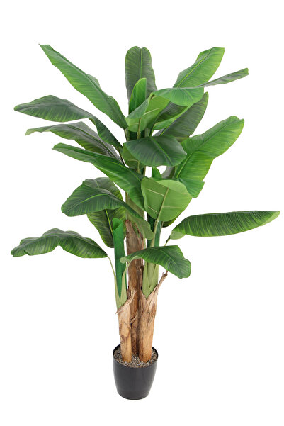 Yapay Çiçek Deposu Yapay Royal Muz Ağacı 180 Cm Saksılı