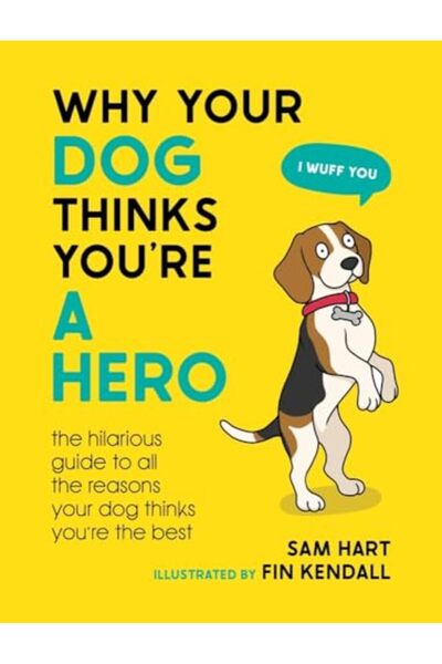Hachette Why Your Dog Thinks Youre A Hero