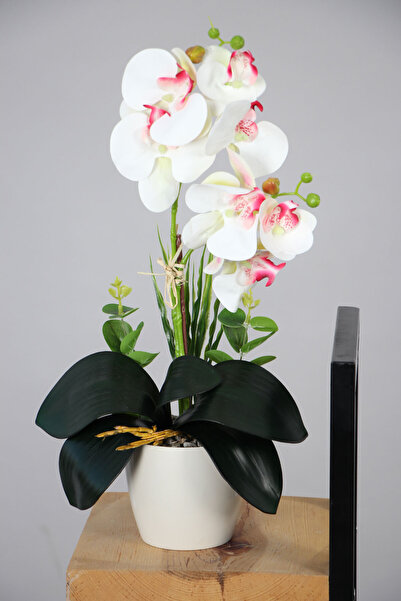 Yapay Çiçek Deposu تشكيلة زهور أوركيد صناعية صغيرة مزخرفة باللون الأبيض والور...