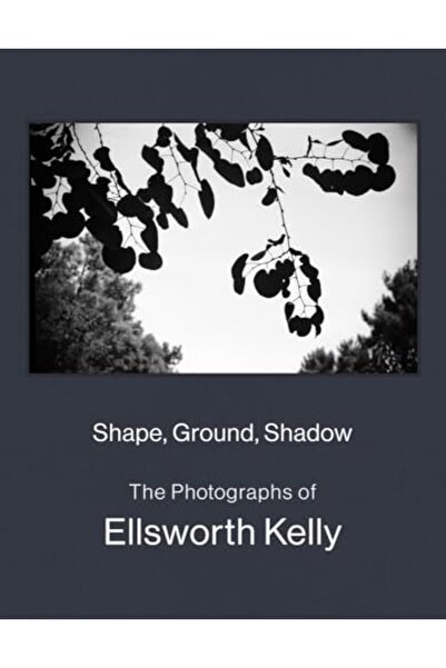 Delmonico Books الشكل والأرض والظل: صور إلسورث كيلي