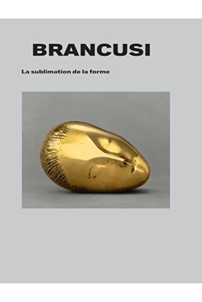 Snoeck Gent برانكوسي. لا التسامي دي لا فورم.