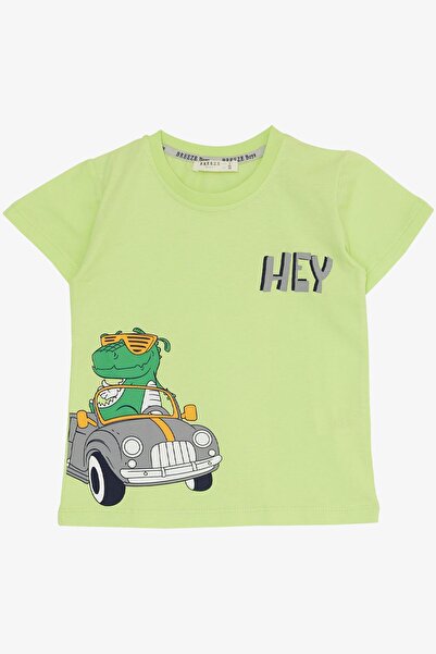 Breeze 1.5-5 Years Boy's Shorts Set - Dinosaur Printed, Cool, Pistachio Green