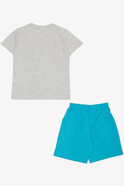 Breeze Boys' Shortsweight Holiday Themed Cheerful Surfer Animals Printed 2-6 Years Old, Light Gray Mel