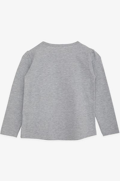 Breeze Girl's Long Sleeve T-Shirt Girl Looks 4-9 Years, Gray Melange