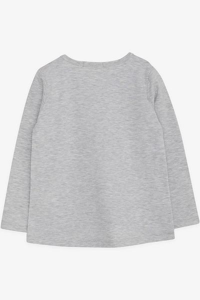 Breeze Girl's Long Sleeve T-Shirt Sequined Girl Printed 2-6 Years, Light Gray Melange