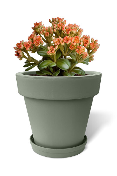 ToXA 3.1 Litre Bej Fulya Saksı Tabaklı Drenajlı Izgaralı Mat Plastik Çiçek Saksısı