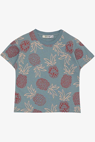 Jack Lions Boy's T-Shirt with Pineapple Pattern, Ages 1.5-5, Indigo