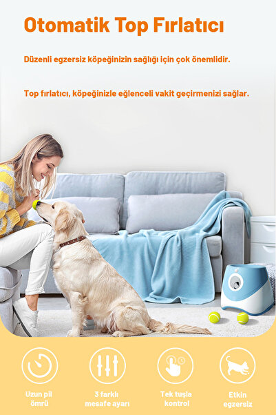 PawMart Otomatik Top Fırlatıcı