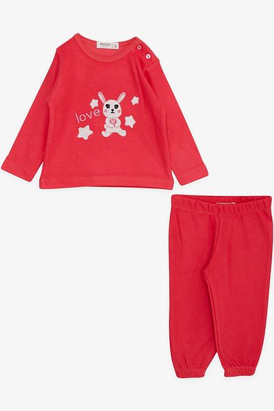 Breeze Baby Girl Tracksuit Set with Love Theme and Cute Bunny Embroidery, 6 Months-2 Years, Pomegranate Flower