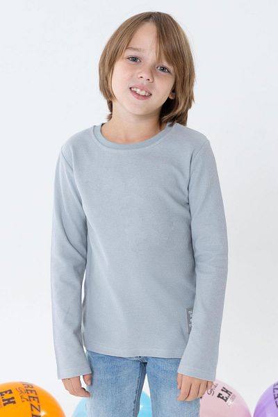 Breeze Boy's Long Sleeve T-Shirt with Emblem 7-11 Years, Light Gray