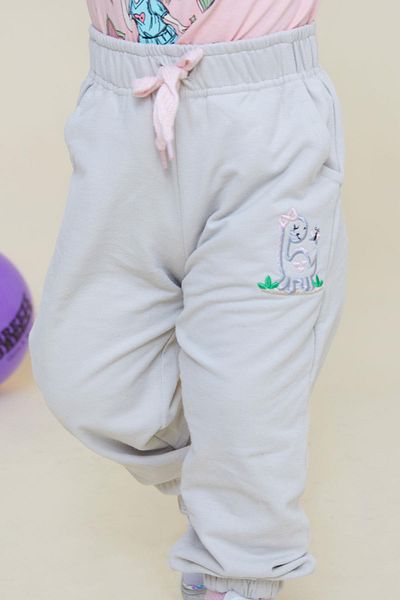 Breeze 1-4 Years Girl's Dinosaur and Butterfly Embroidered Bottom Cute Stone