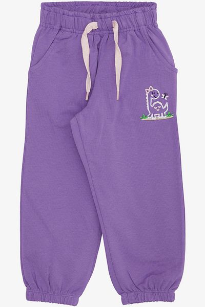 Breeze Purple Dinosaur and Butterfly Embroidered Bottom Cute Mashcoat for 1-4 Years Old Girls