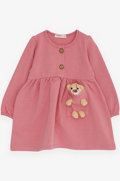 Breeze Girl's Long Sleeve Dress with Teddy Bear Accessory, Age 2-6, Dried Rose