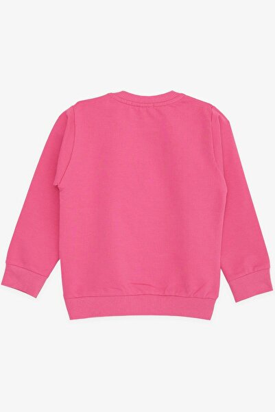 Breeze Baby Girl Sweatshirt Silvery Floral Printed 9 Months-3 Years, Pink