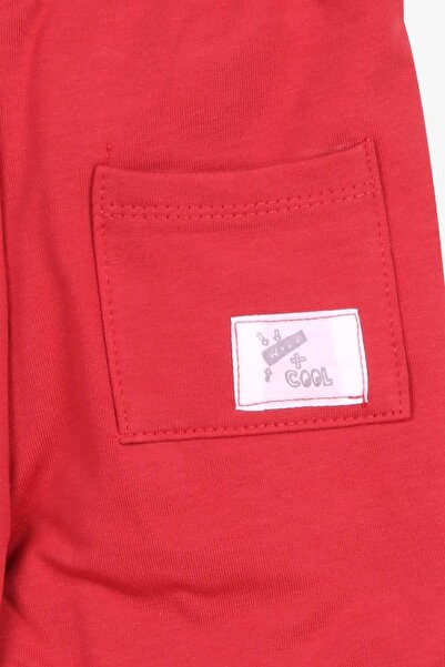 Breeze Boy's Sweatpants with Bag Pocket, Age 1-4, Tile