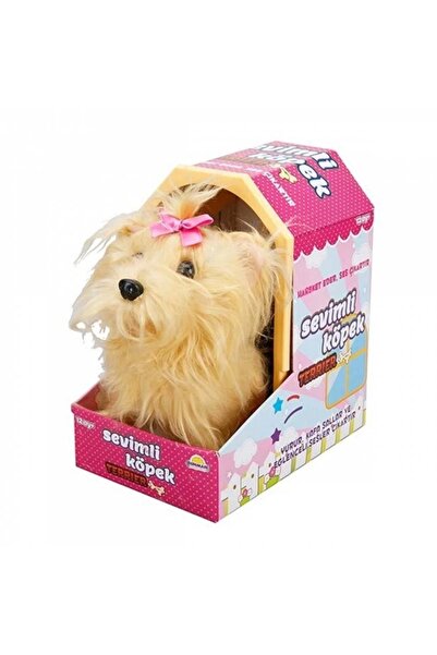 Sunman Nessiworld Sevimli Köpek Terrier