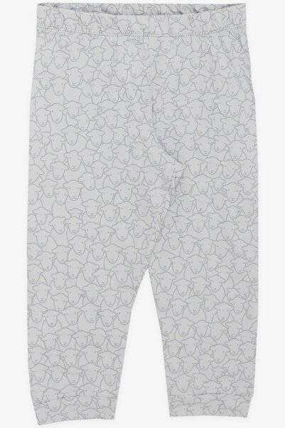 Macawi 3-7 Years Old Boy Pajama Set - Cute Sheep Pattern, Light Gray