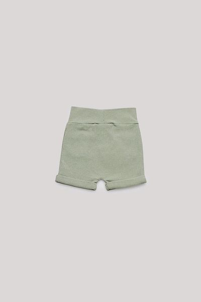 Layette BG Store Baby Boy Green Shorts
