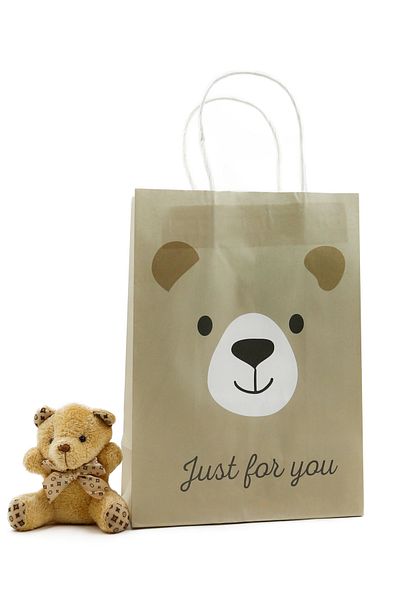 reprodesign 19X26 Cute Animal Themed Paper Bag 2 Pieces (Cute Teddy Bear Pattern)