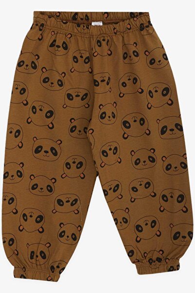 Breeze Baby Boy Pajama Set, Panda Patterned, 9 Months-3 Years, Light Brown